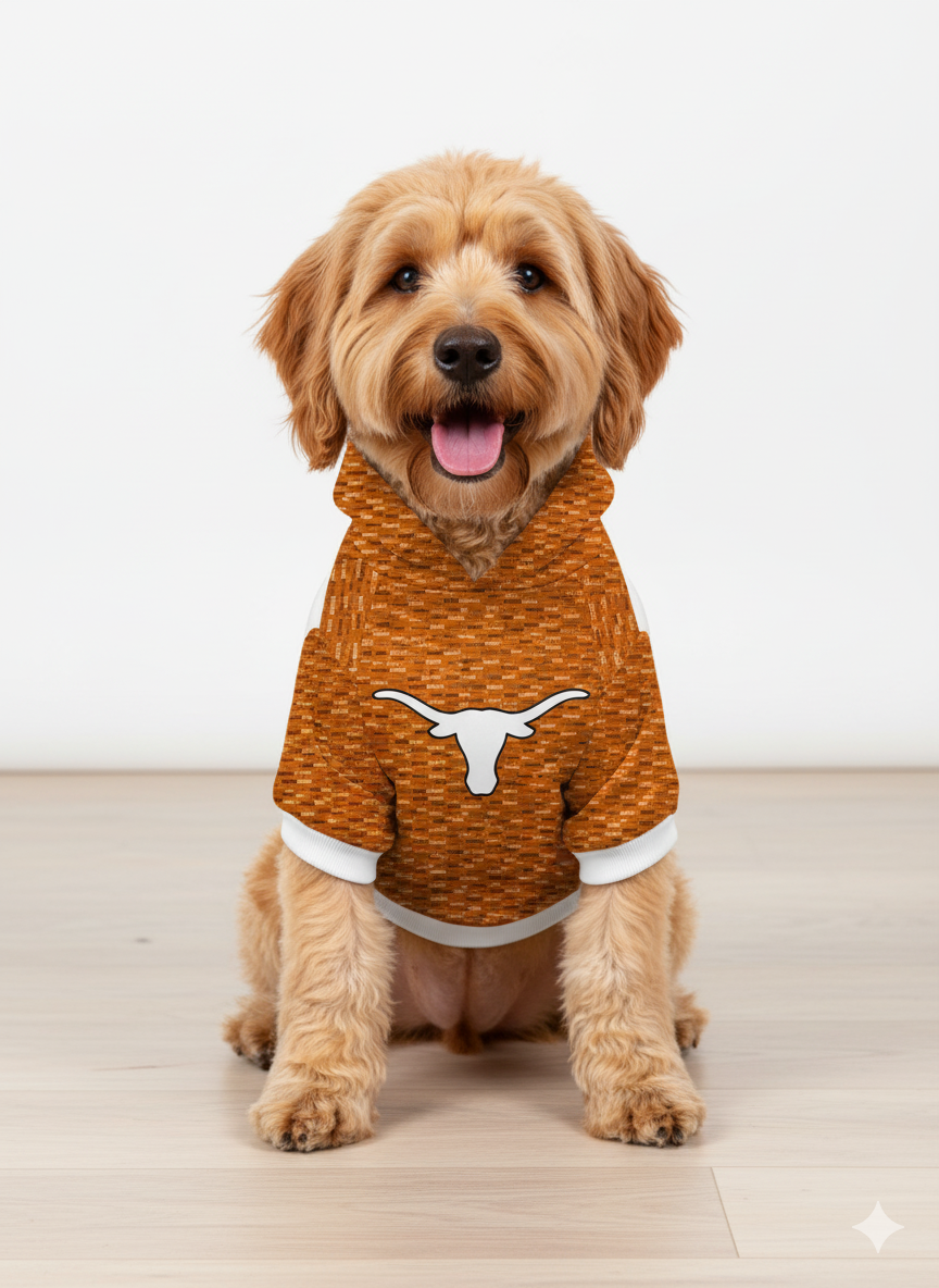 University of Texas Inspirational Doggie Hoodie