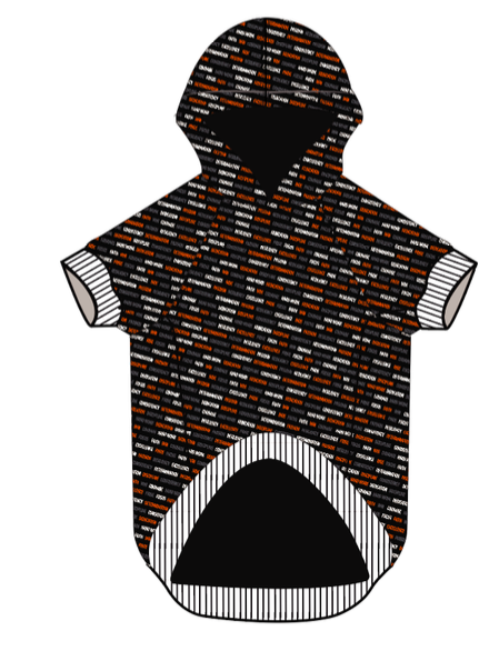 University of Texas Inspirational Doggie Hoodie