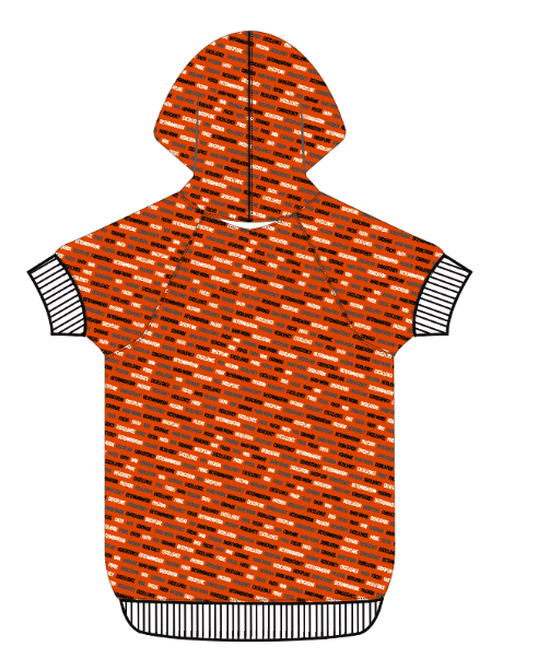 University of Texas Inspirational Doggie Hoodie